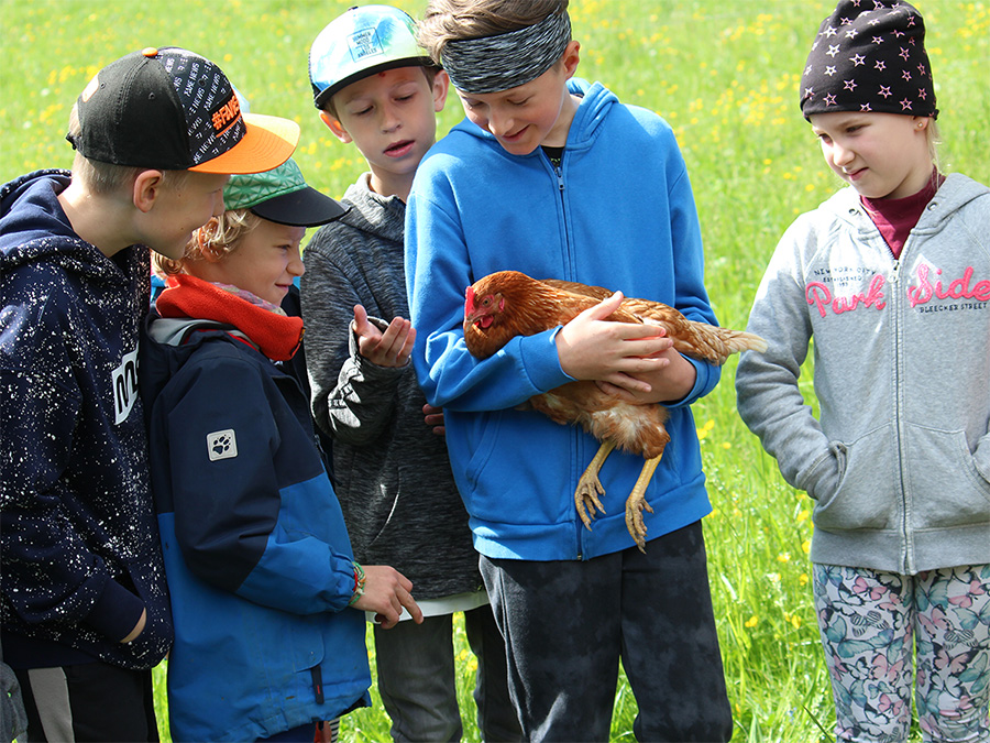 Kinder am Bauernhof